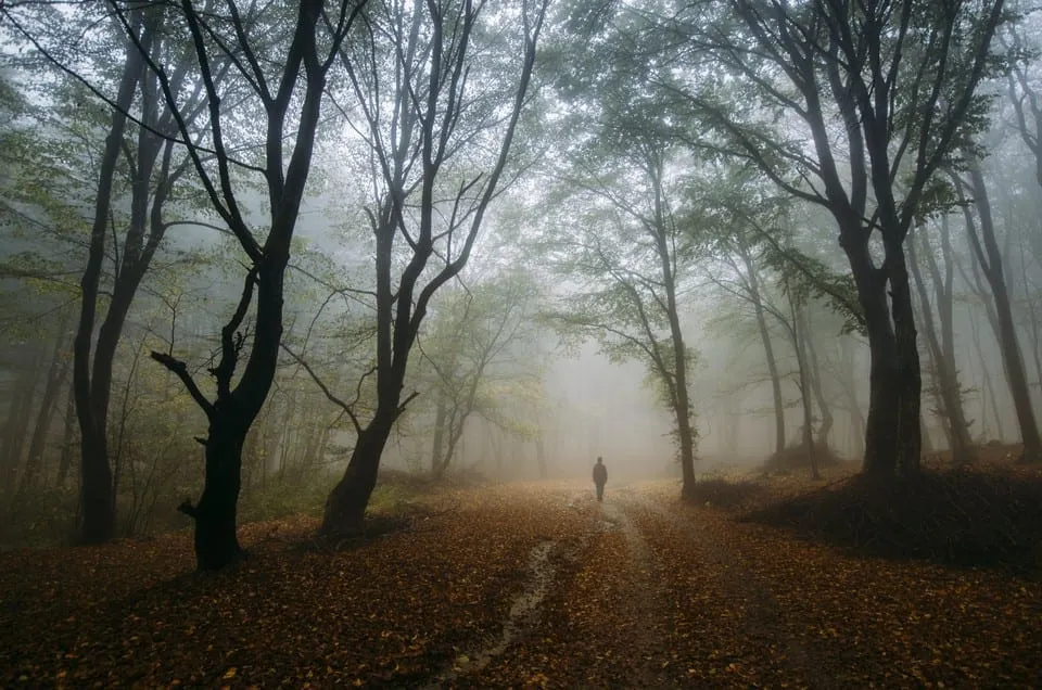 Misty Path (photocosma)